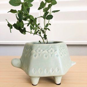 Anthropologie Turtle Planter